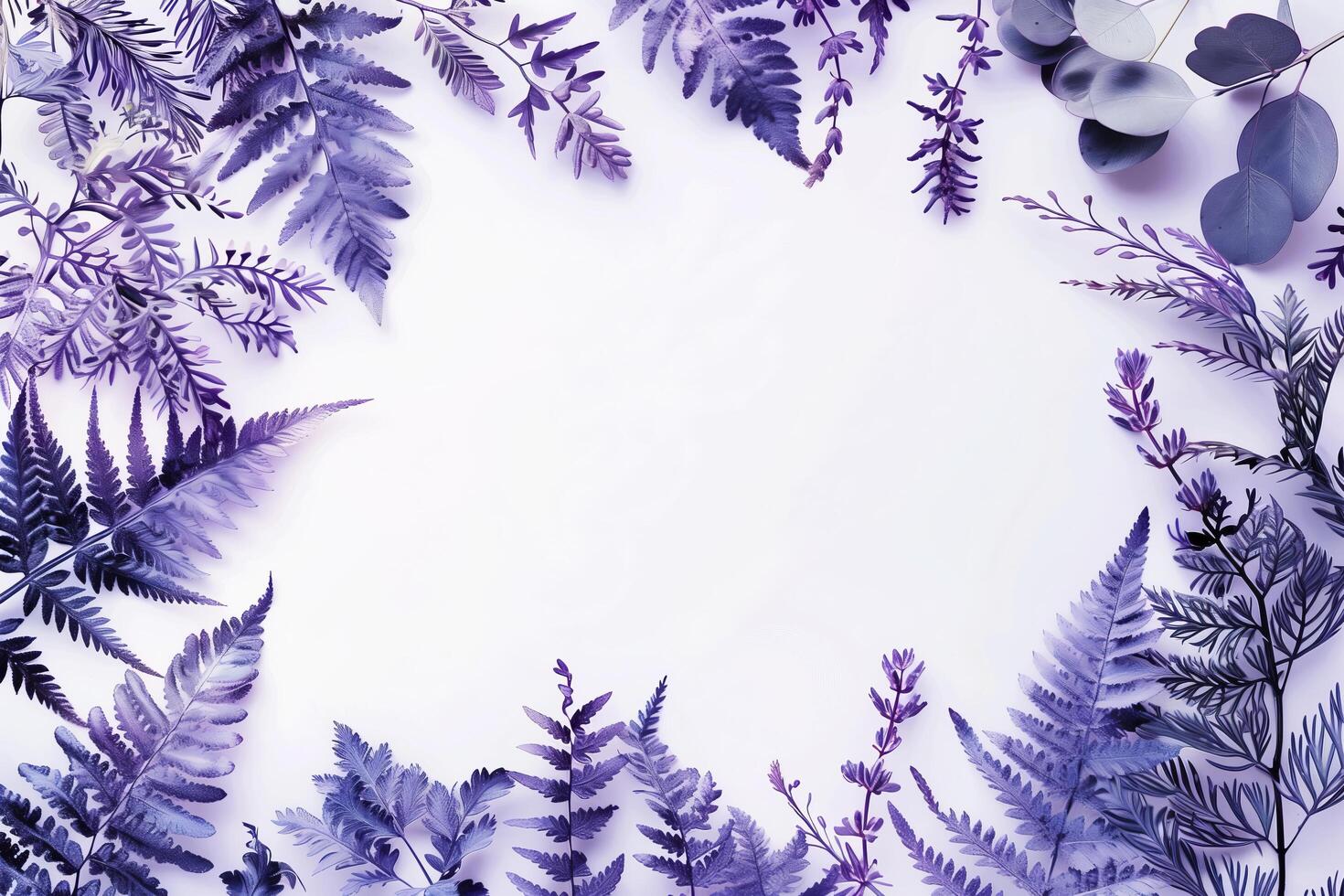 Purple ferns and leaves on a white background photo
