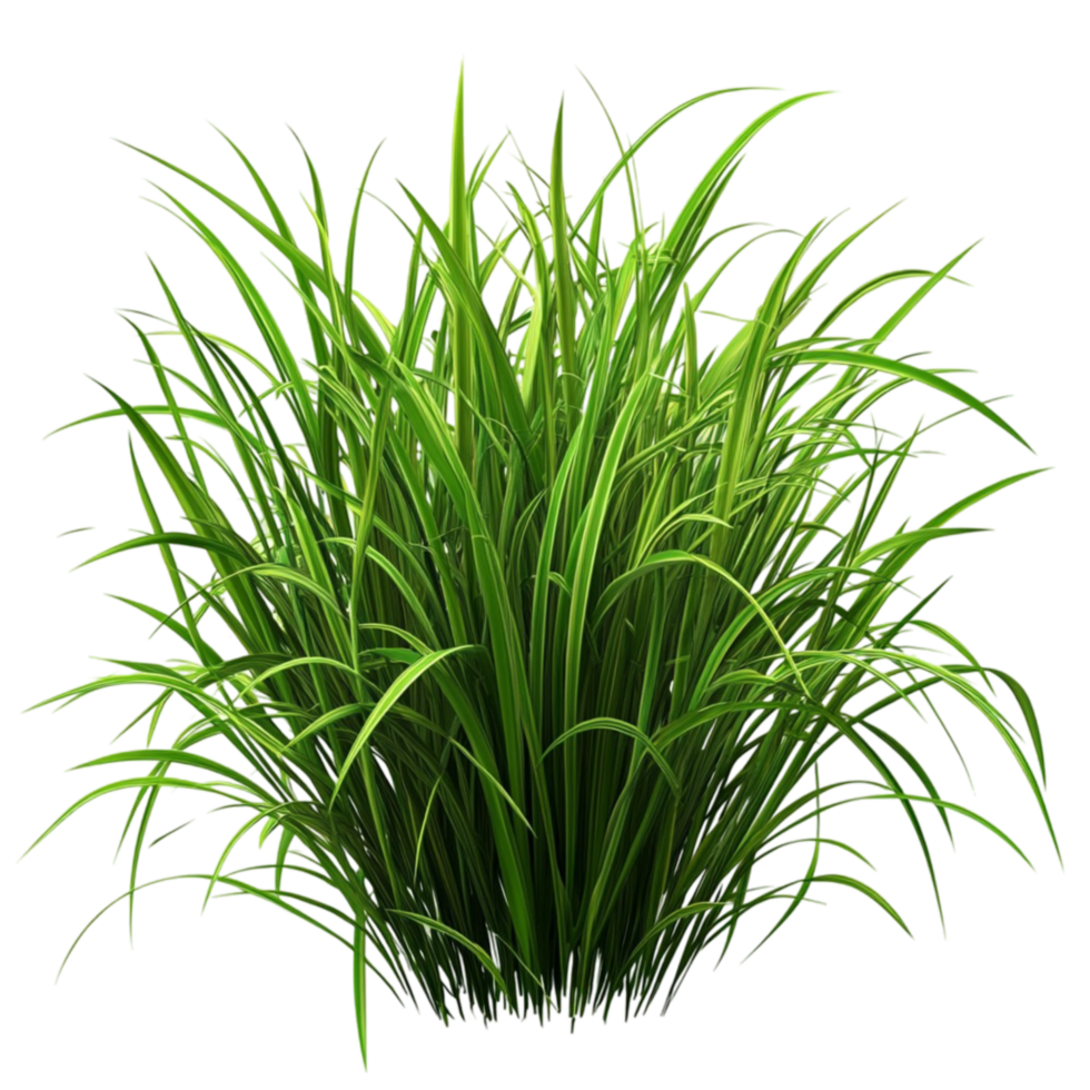 Dense Green Grass Cluster png