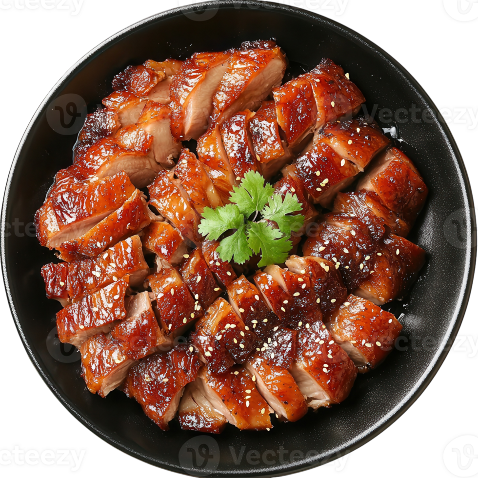 Beijing Roasted Duck Dinner on transparent background. png