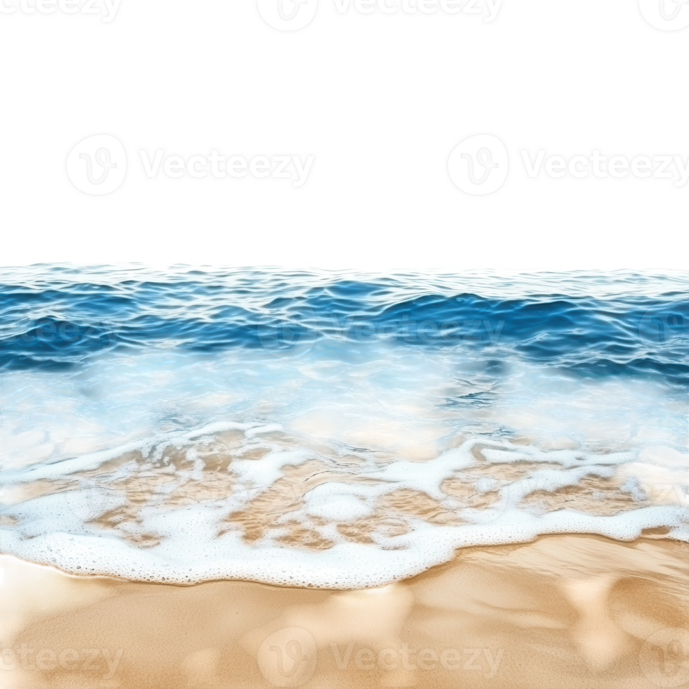 Ocean Sandy Bottom Summer on transparent background. png