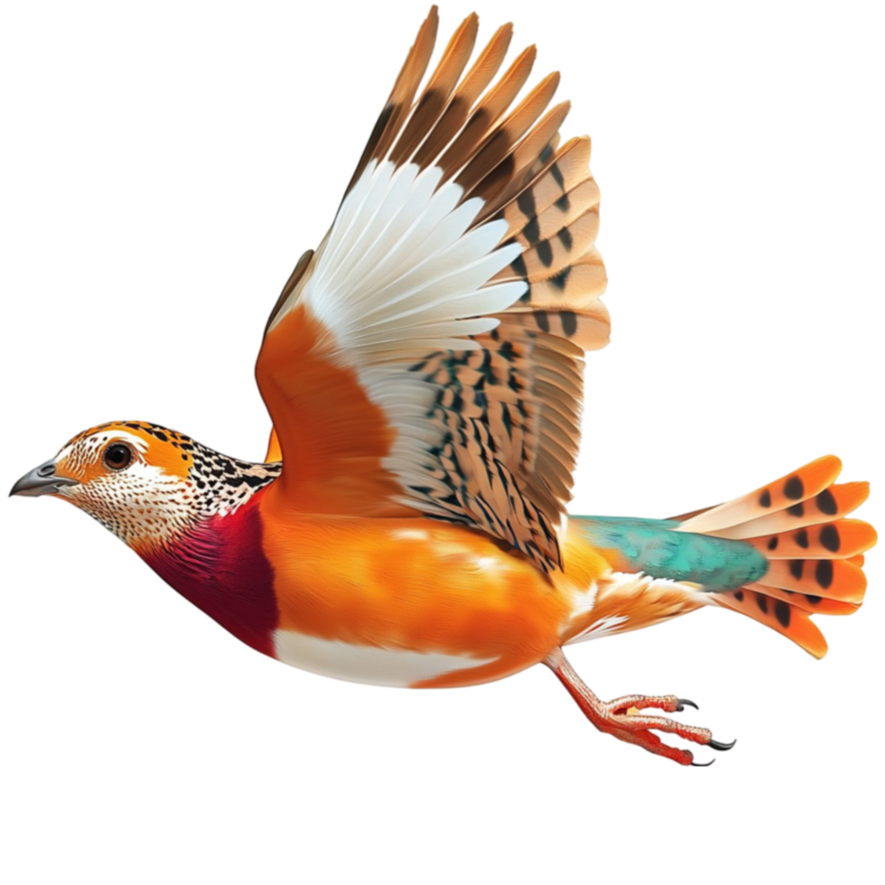 Colorful bird with spread wings soars gracefully through the sky png