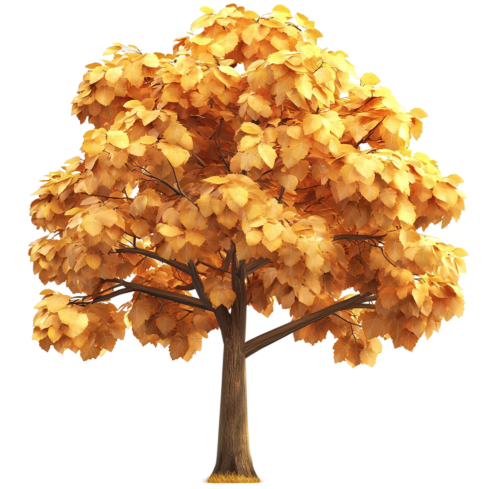 Golden autumn tree with full leaves stands beautifully in seasonal colors png