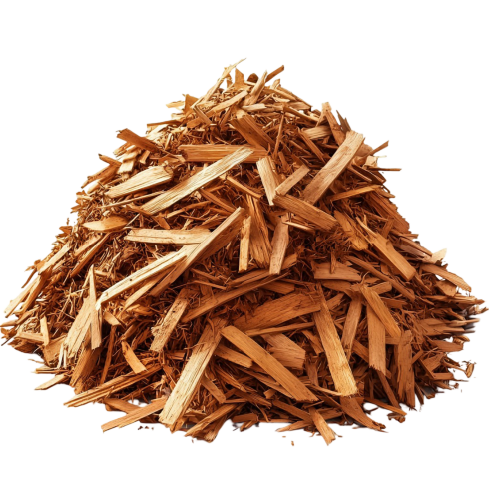 Cinnamon sticks stack warmly with brown hues perfect for spicy recipes png