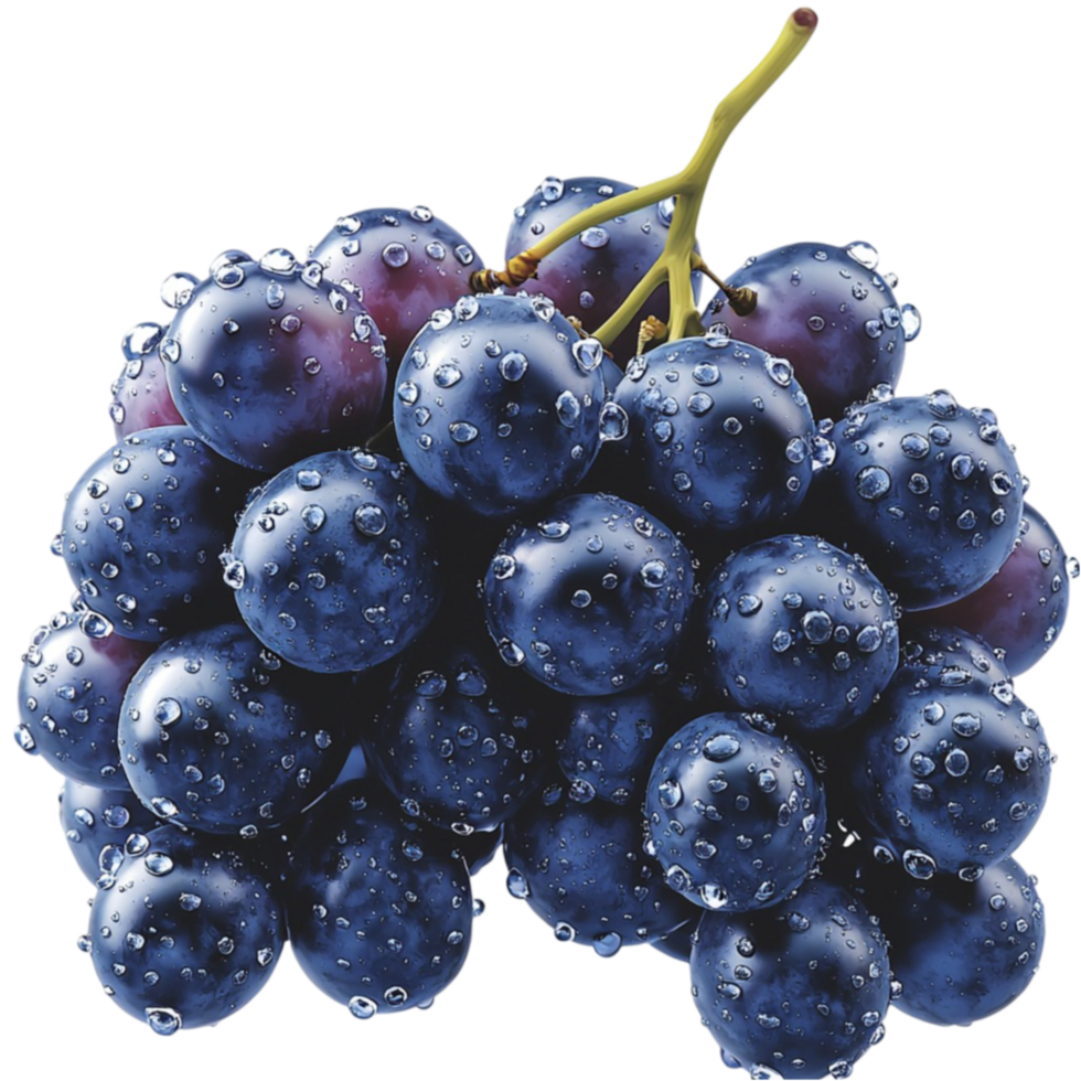Bunch of blueberries is covered in tiny droplets of water png