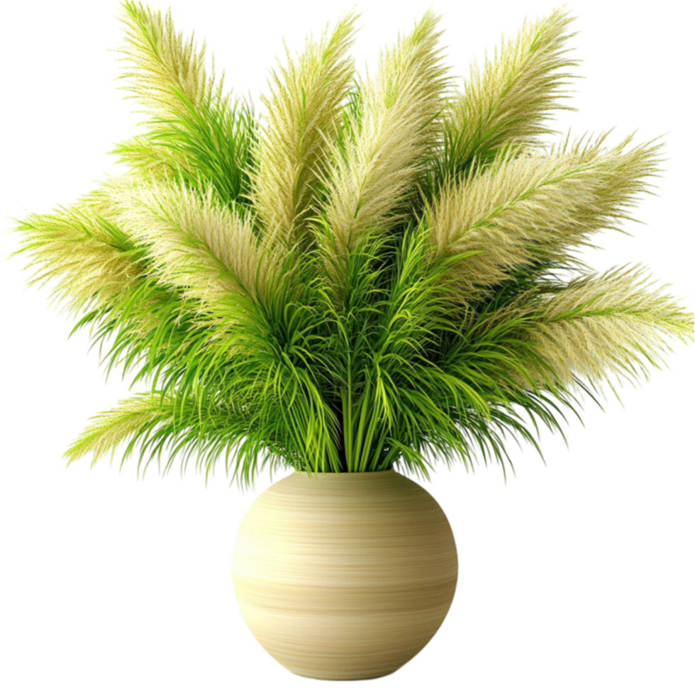 Lush green plant with feathery leaves sits in a ceramic pot png