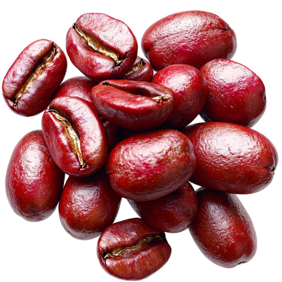 Plump red coffee beans with a glossy surface and texture png