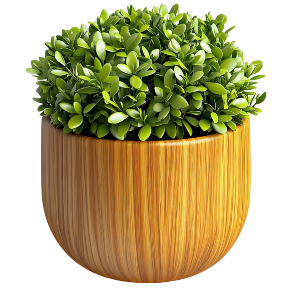 Small green potted plant with dense leaves in a wooden container png