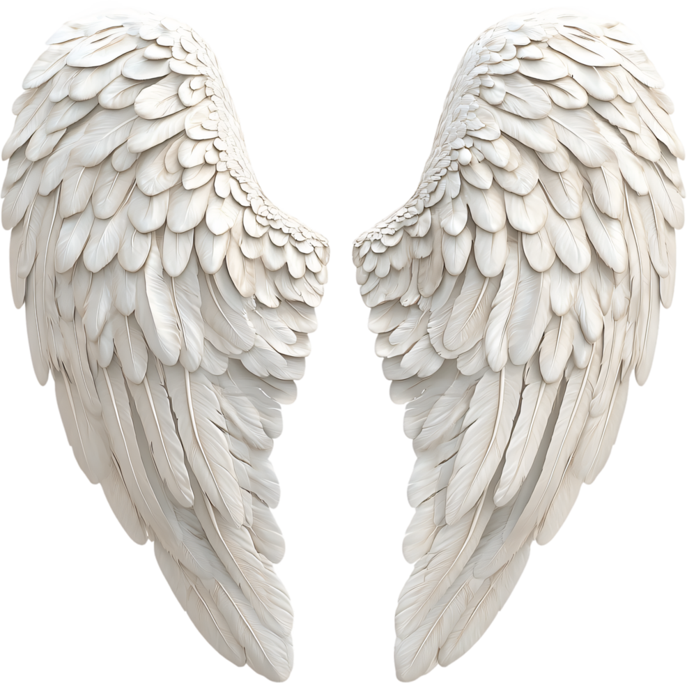 A pair of intricately detailed, pristine white wings, each feather meticulously rendered, evokes notions of purity, freedom, and ethereal beauty. png