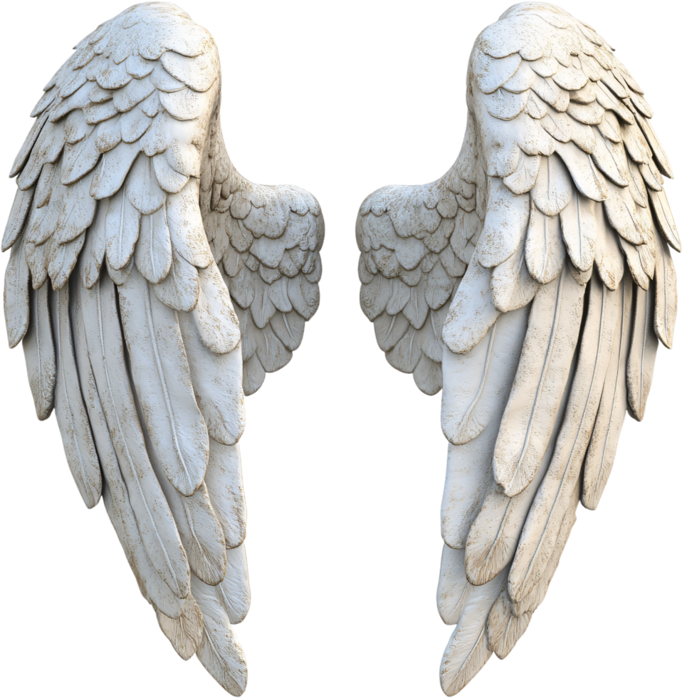 Two sculpted angel wings detailed with feathers. Each wing is white, textured to look like stone, against a black backdrop. png