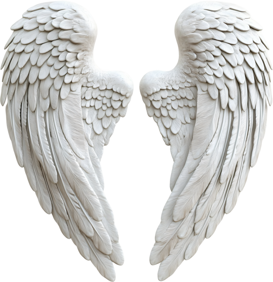 Pair of ornate, white wings suggestive of angelic form or flight. Detailed feathering and gentle curves evoke a sense of lightness. png