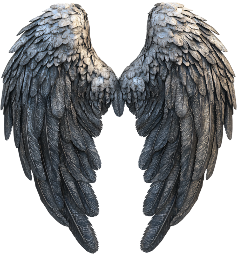 Detailed, feathered wings in shades of gray. The wings are symmetrically mirrored and have a stone-like texture on the upper feathers. png