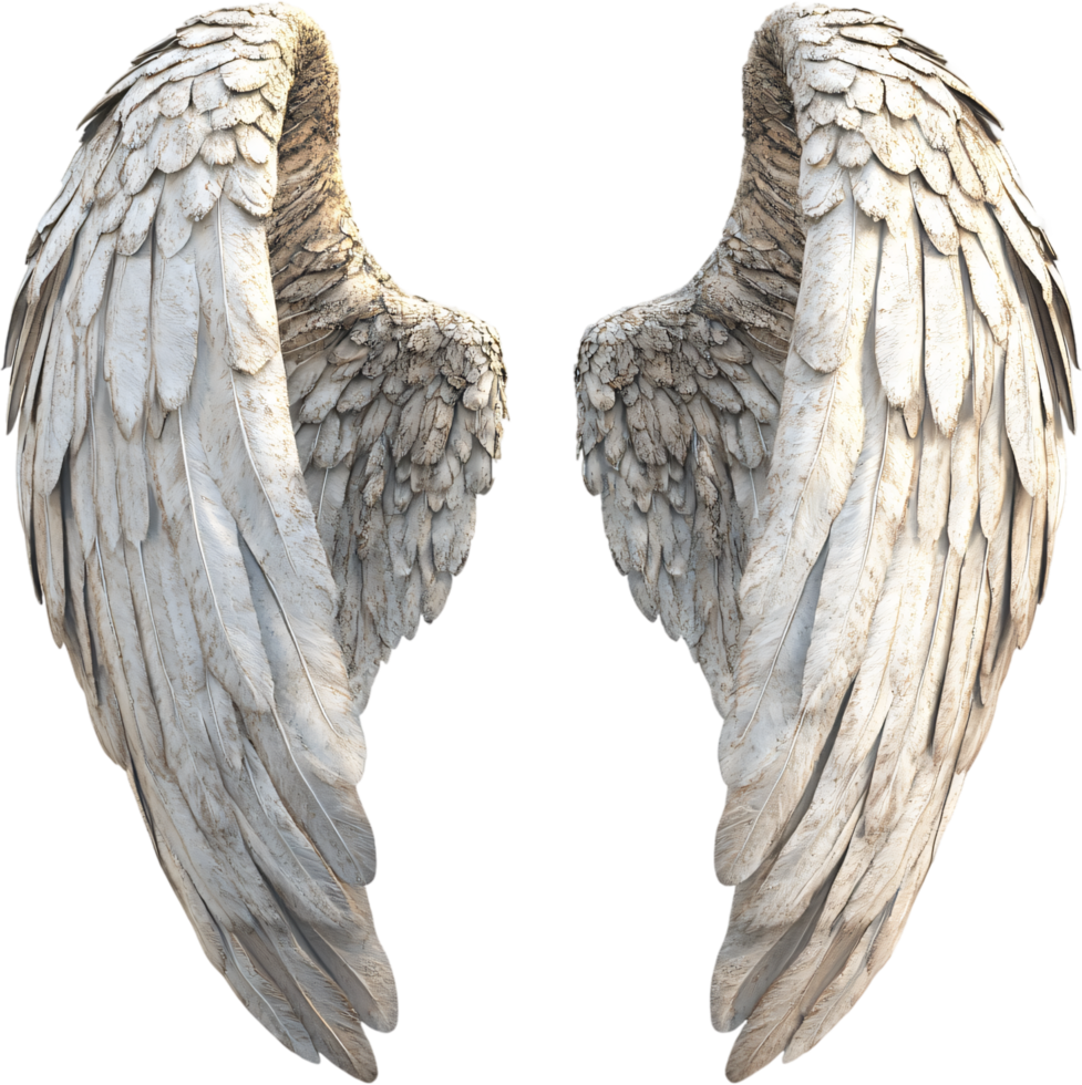 Feathered wings spread wide, showcasing a sense of freedom and transcendence against a dark backdrop, a symbol of angelic grace. png