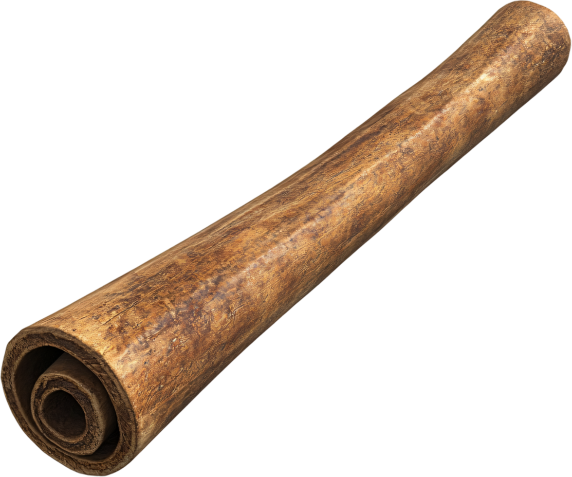 Rolled document revealing circular patterns and textures in a close-up, isolated composition against a black backdrop. png