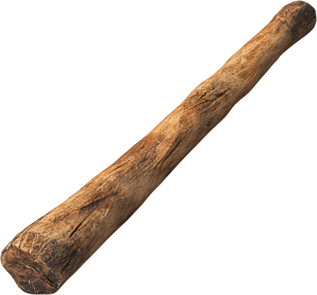 Rustic Wooden Club, A weathered wooden club, showing signs of age and wear, set against a stark black background. Close-up shot. png