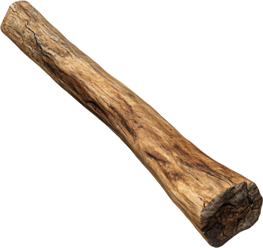 A weathered log featuring intricate grain patterns and a rough, textured surface, ideal for various naturalistic or rustic design projects. png