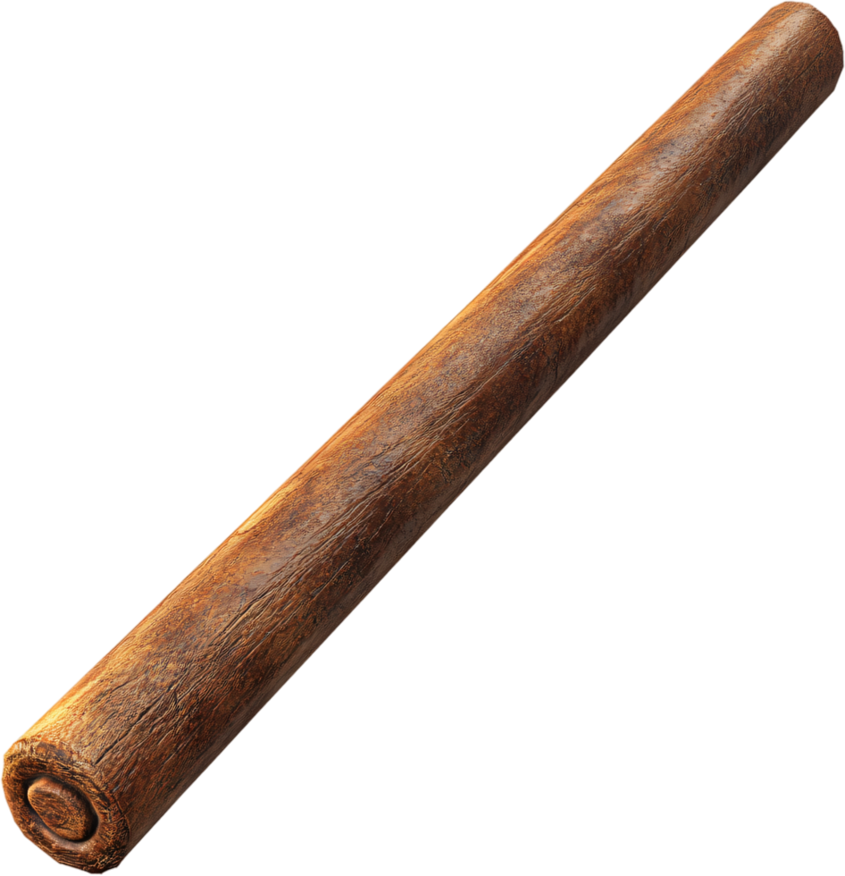 A smooth, brown, cylindrical object, similar to a dowel, positioned diagonally on a black backdrop, showcasing its textural details. png