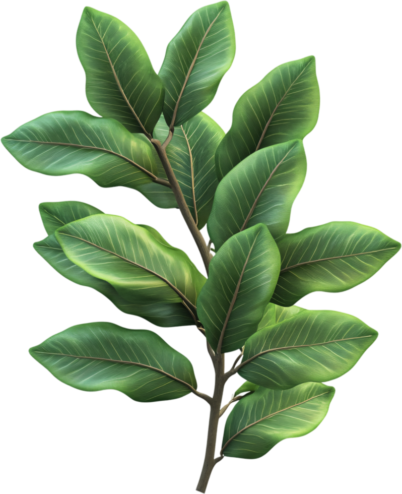 Branch with bright green leaves against a black background, showcasing its intricate details, textures, and rich color palette. png