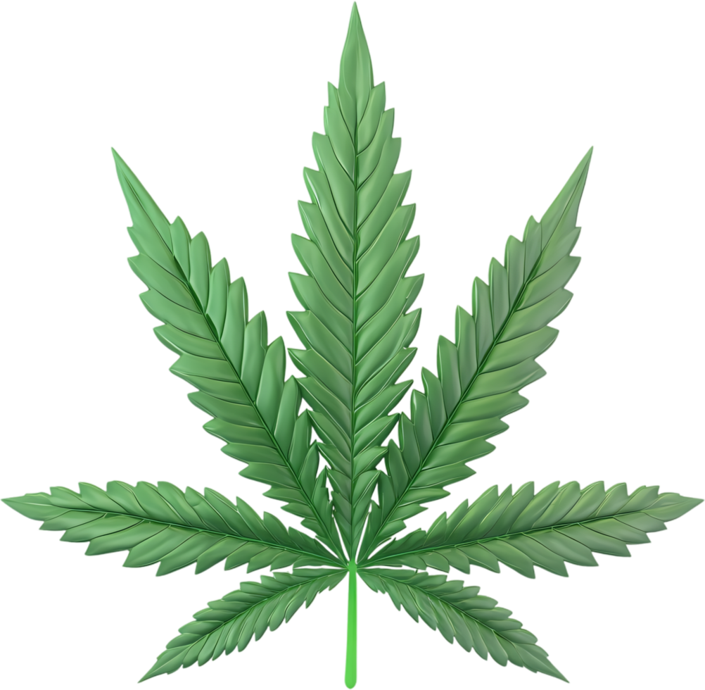 Detailed digital illustration of a stylized green leaf with serrated edges, set against a plain black backdrop for clear visual focus. png