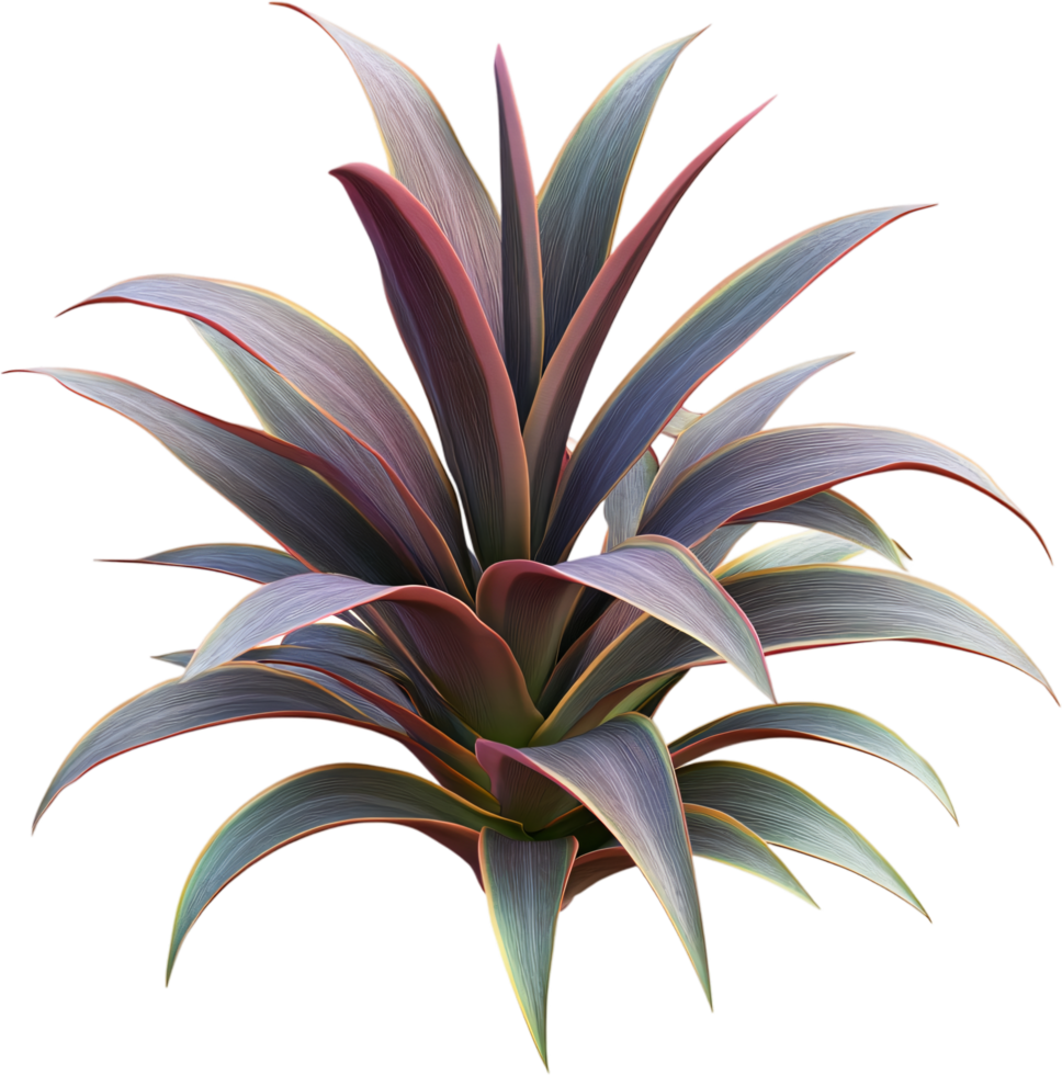 Striking foliage plant with upward-reaching leaves in muted purple, red, and green tones against a clean black background. Elegant. png