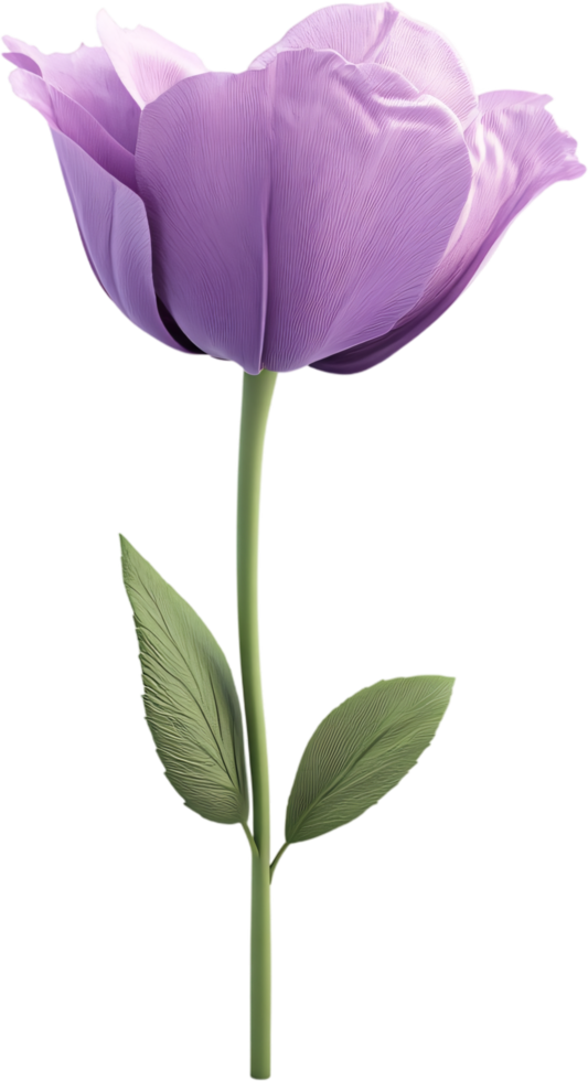A purple tulip gracefully extends upwards with a sleek green stem and leaves, isolated against a black background, showing its beauty. png