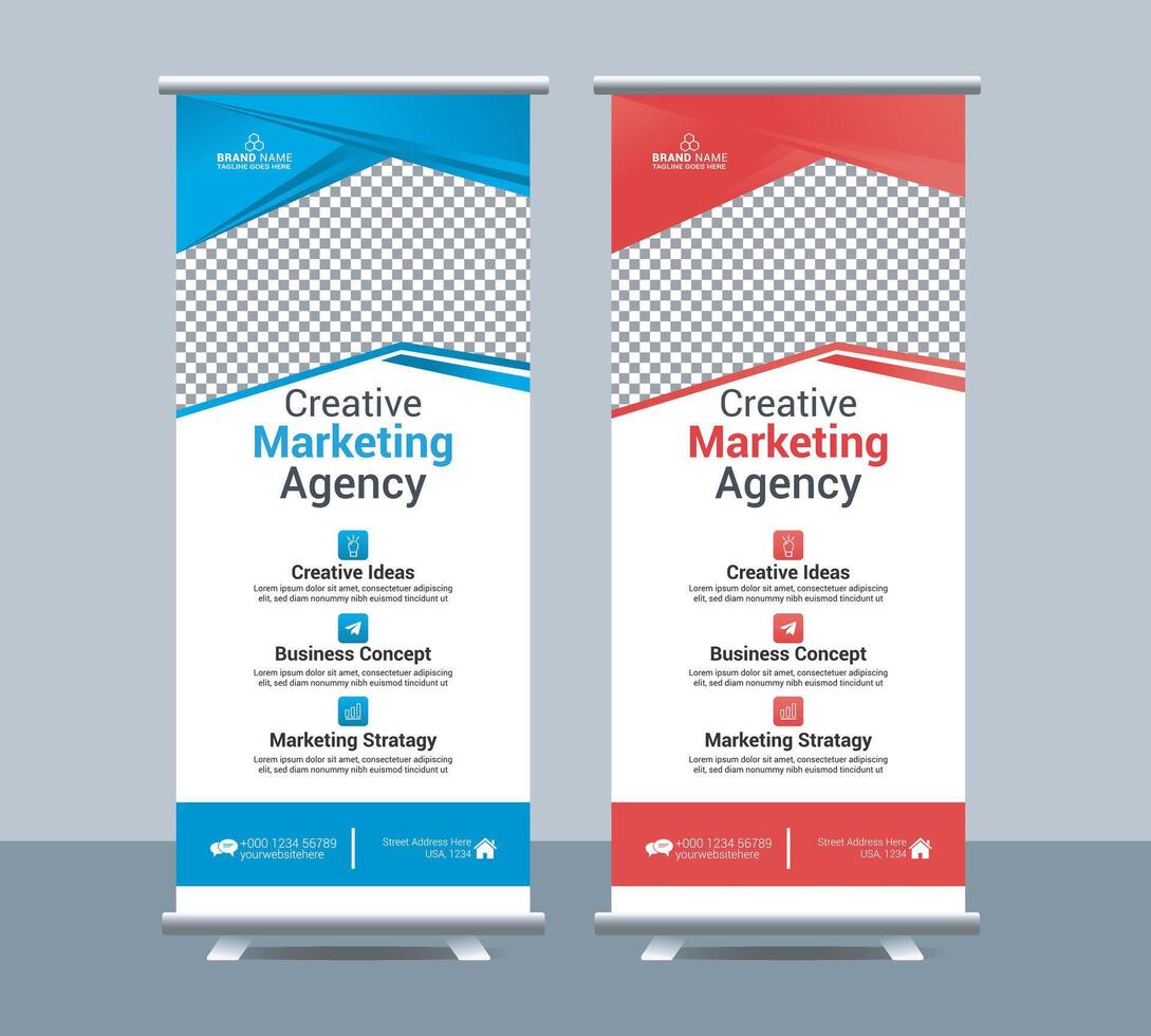 Business roll up display vector