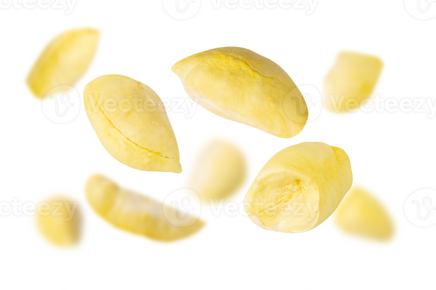 Fresh durian seeds scattered on transparency background, showcasing their unique shape and texture png