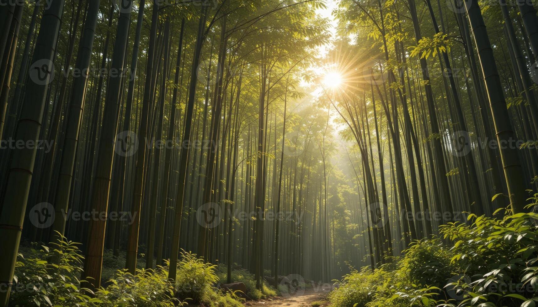 Sunlight streams through bamboo trees, illuminating a serene path in the forest, conveying a sense of peace, perfect for nature themes, outdoor adventures, or meditation spaces. photo