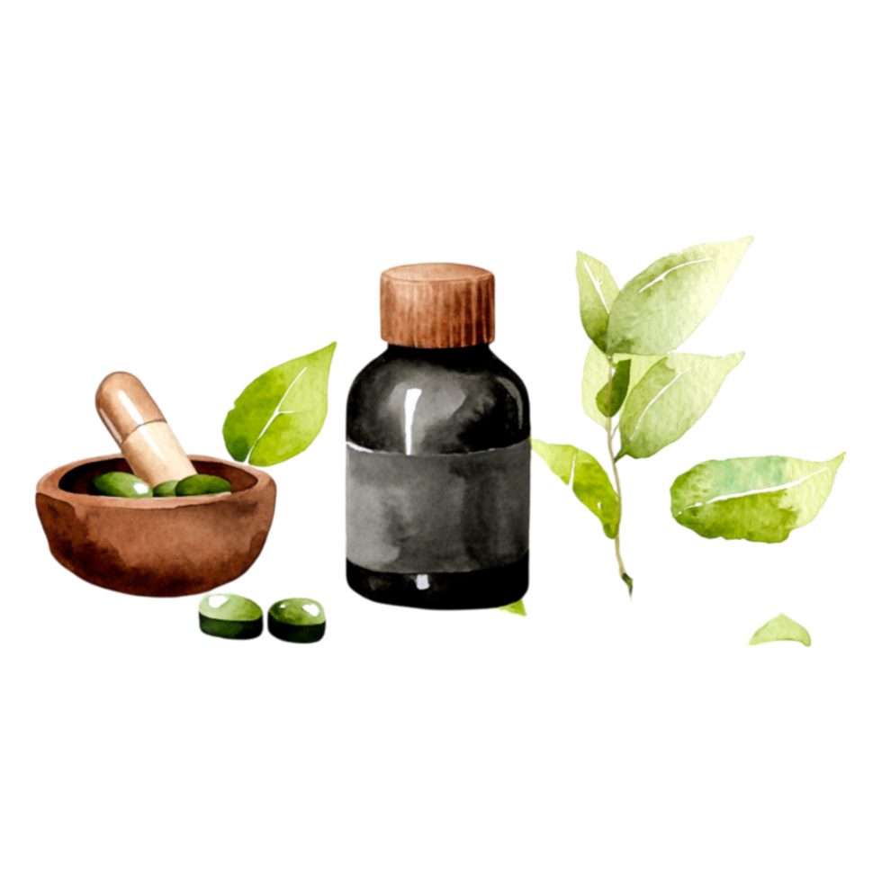 Herbal Extract Bottle with Olive Leaves and Mortar in Natural Setting png