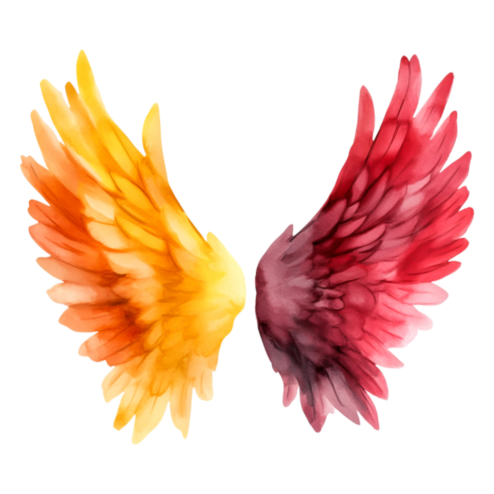 Vibrant Watercolor Wings in Yellow and Red for Artistic Creations png