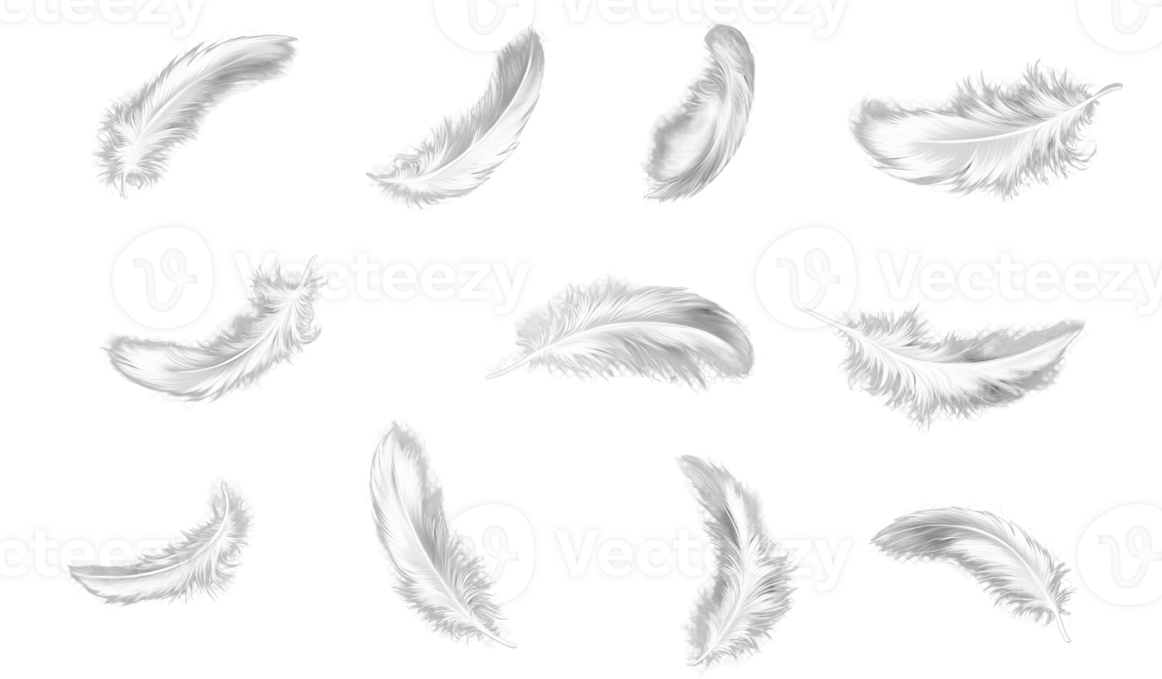 White feathers falling on transparent background png