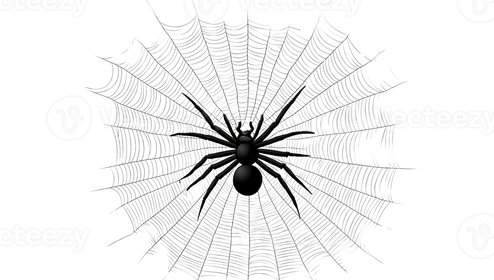 Black spider on web on transparent background png