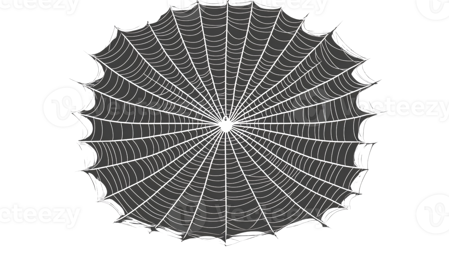 Spiderweb graphic design element on transparent background png