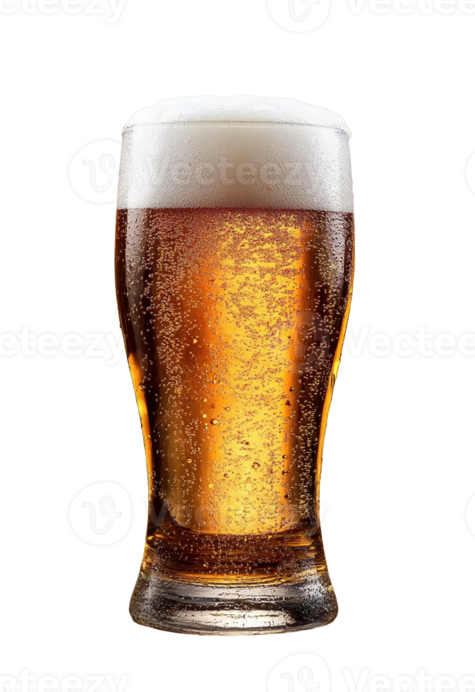 Golden beer in a pilsner glass on transparent background png