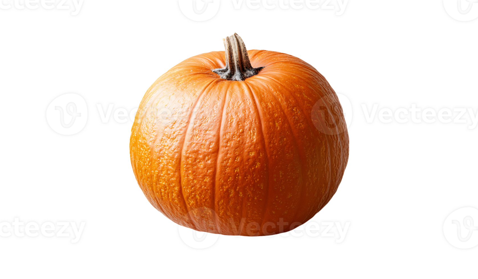 Classic Autumn Pumpkin Isolated on Transparent Background png