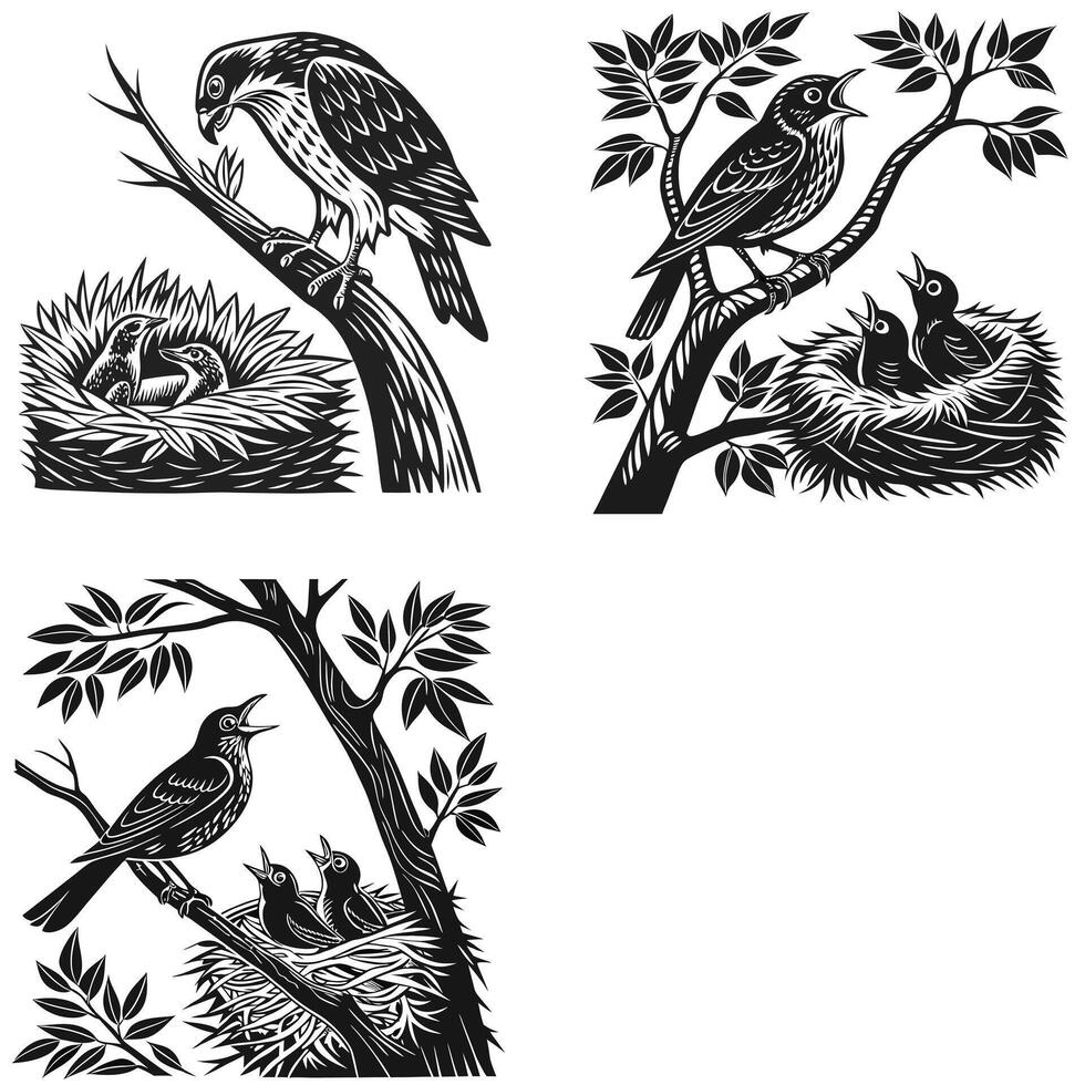 Nesting Birds Illustration with Mother Feeding vector