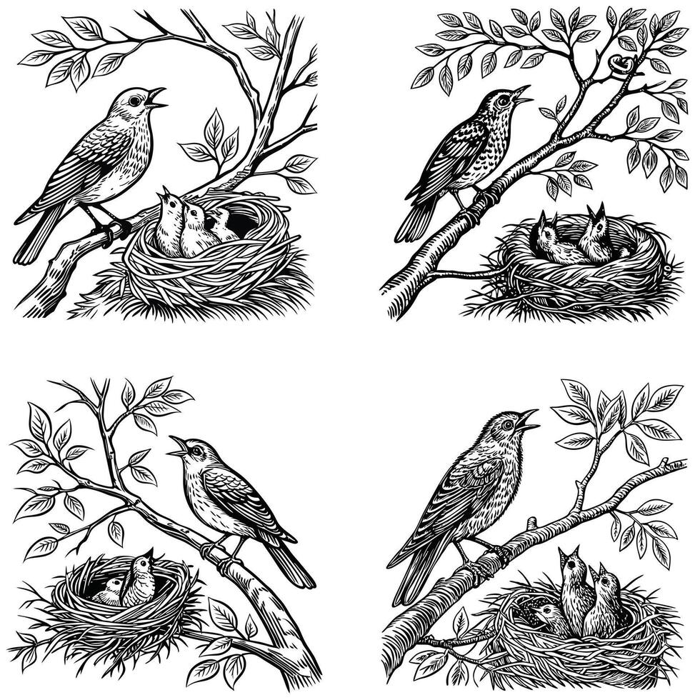 Silhouette of a Bird Feeding Its Chicks vector