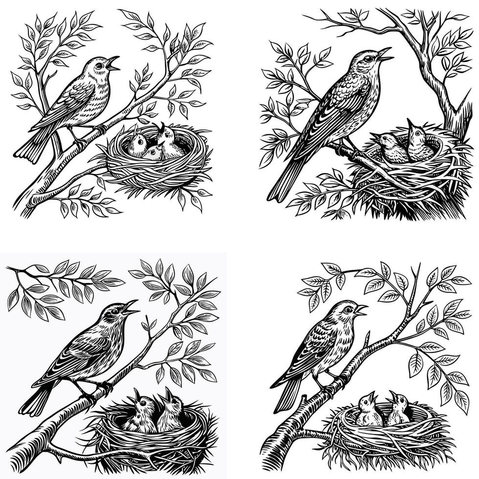 Feeding Time for Nesting Birds Silhouette vector
