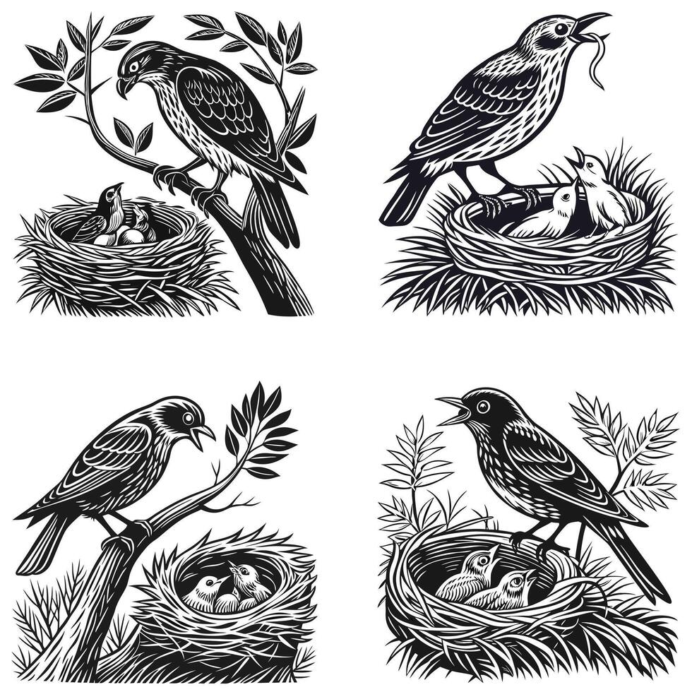 Mother Bird Feeding Chicks Nesting Birds Silhouette vector