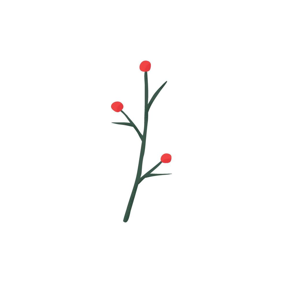 A branch with red berries on it vector