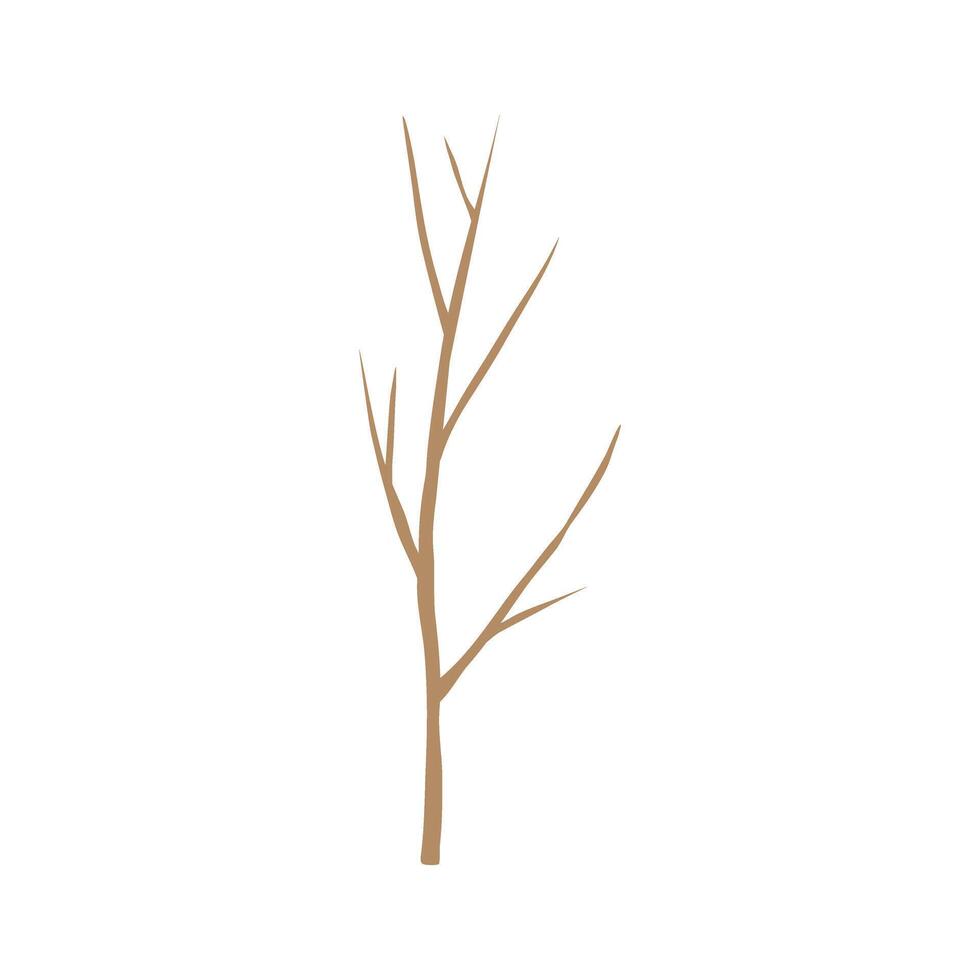 A tree with no leaves on it is shown vector