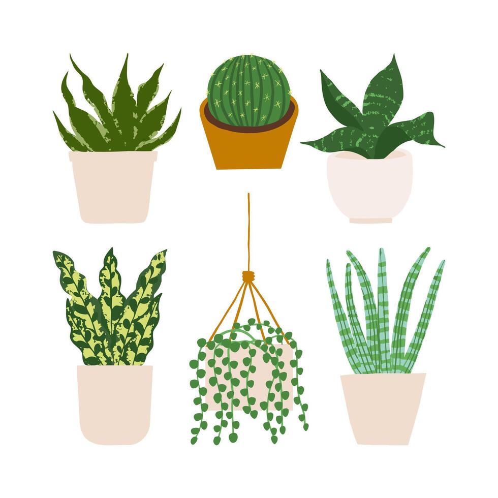 Urban jungle illustration, trendy home decor with plants, cactus, string of pearls, sansevieria, succulent,tropical leaves in stylish planters and pots. vector