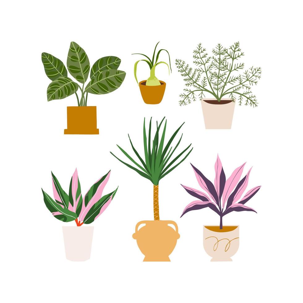 Urban jungle illustration, trendy home decor with plants, palm, stromanthe, asparagus, peacock, tropical leaves in stylish planters and pots. vector