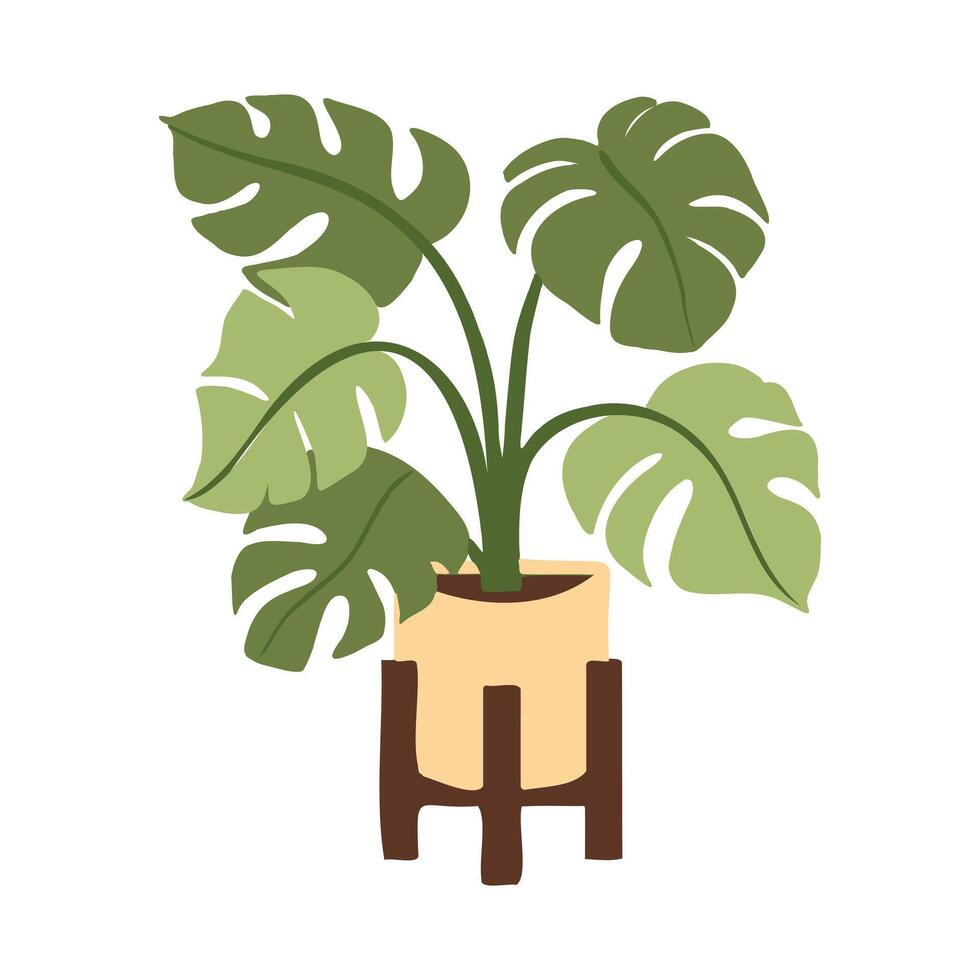 Hand drawn illustration of a Monstera Deliciosa indoor potted plant, featuring its distinctive split leaves, perfect for nature-inspired and botanical designs. vector
