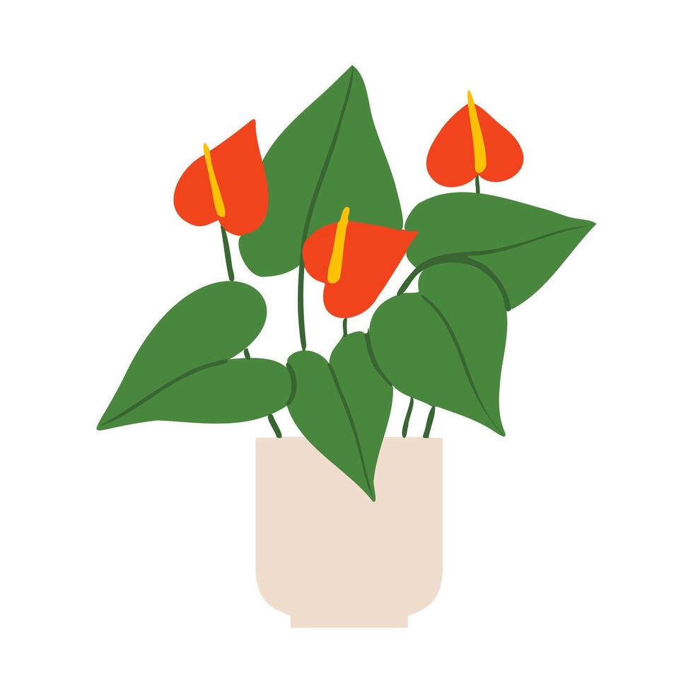 Indoor potted plant flaming flower illustration vector