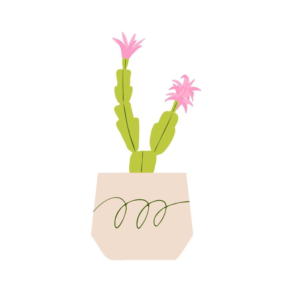 Indoor potted plant thanksgiving cactus illustration vector