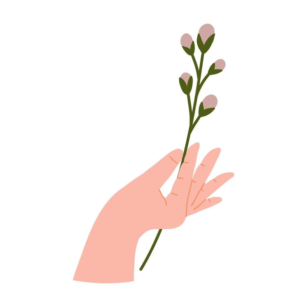 Hands gesture holding bouquets or bunches of blooming abstract lilac flowers illustration. vector