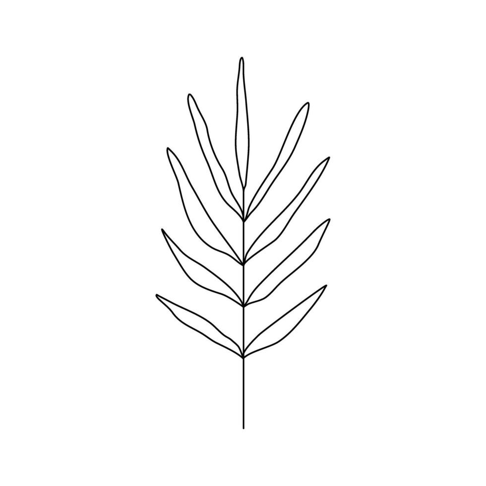Abstract tropical foliage leaf line art drawing. Abstract Plant Art design for print, cover, wallpaper, Minimal and natural wall art. Contour drawing. Minimalism art. Modern decor. vector