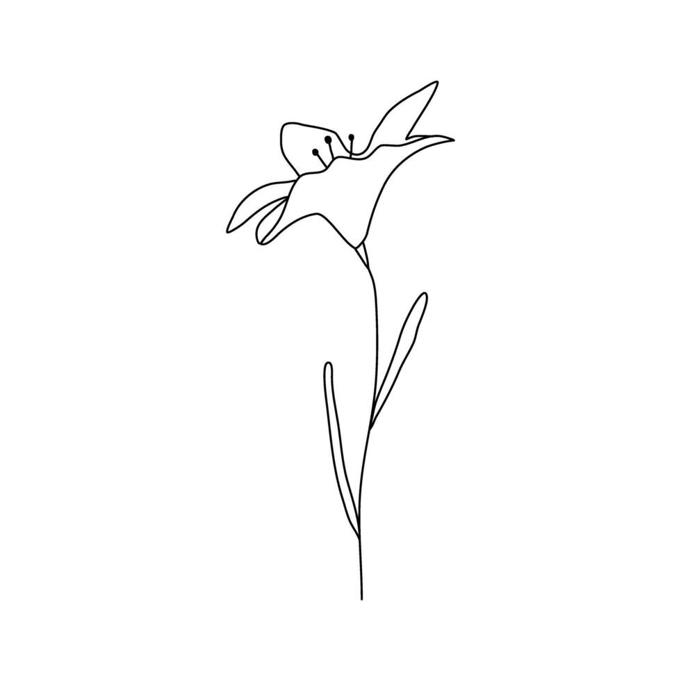 Abstract bloom hibiscus flower with leaves in one black line art drawing style. Minimalist sketch elements illustration. vector