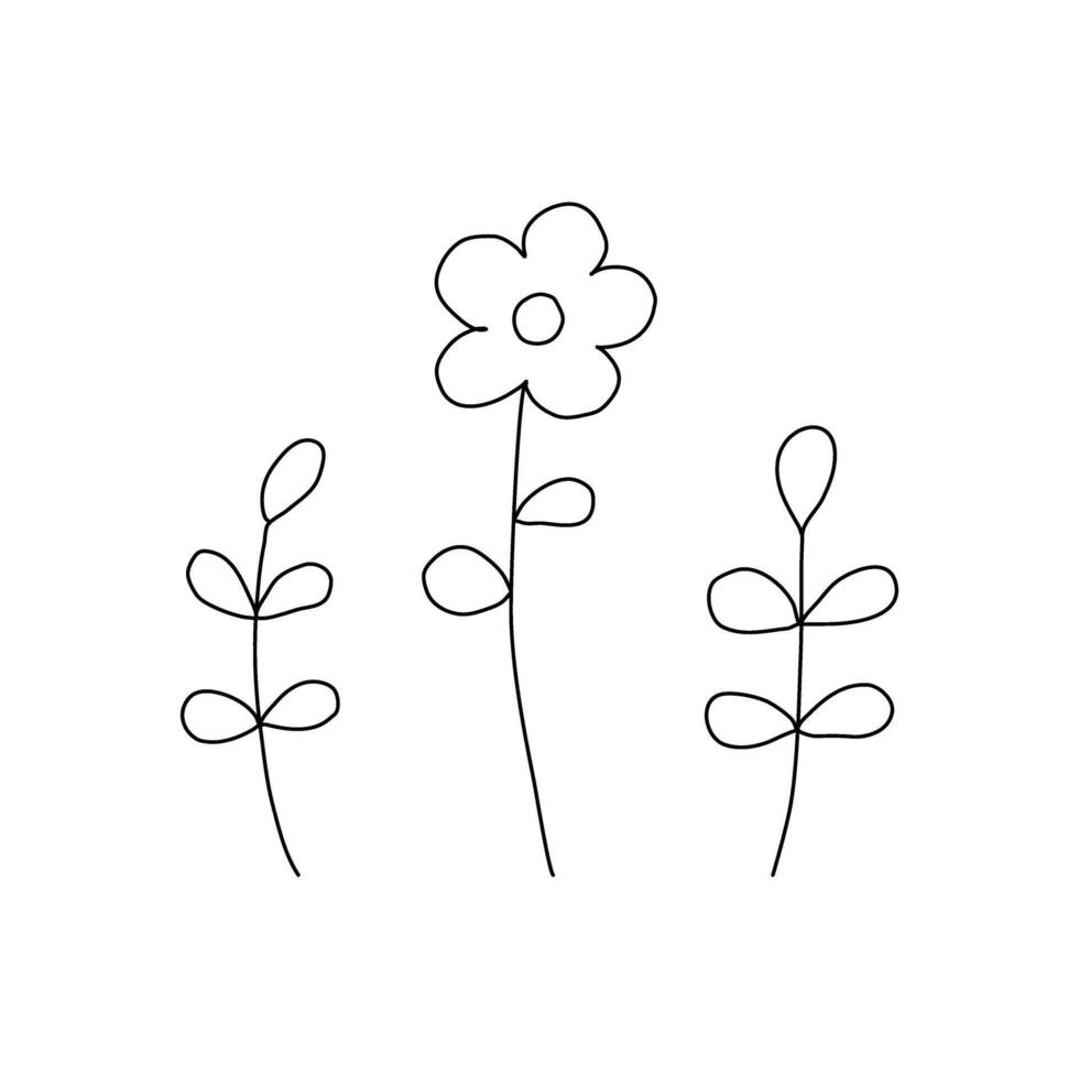 Abstract flower leaves line art minimalist contour drawing elements illustration. vector