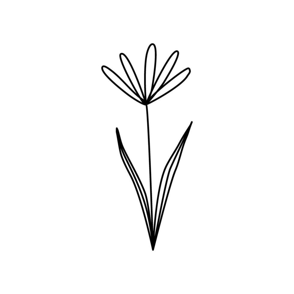 drawings abstract flowers with leaves linear art illustration vector